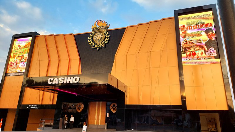 Discovering WinLion Casino: Safety and Games for Canadian Players